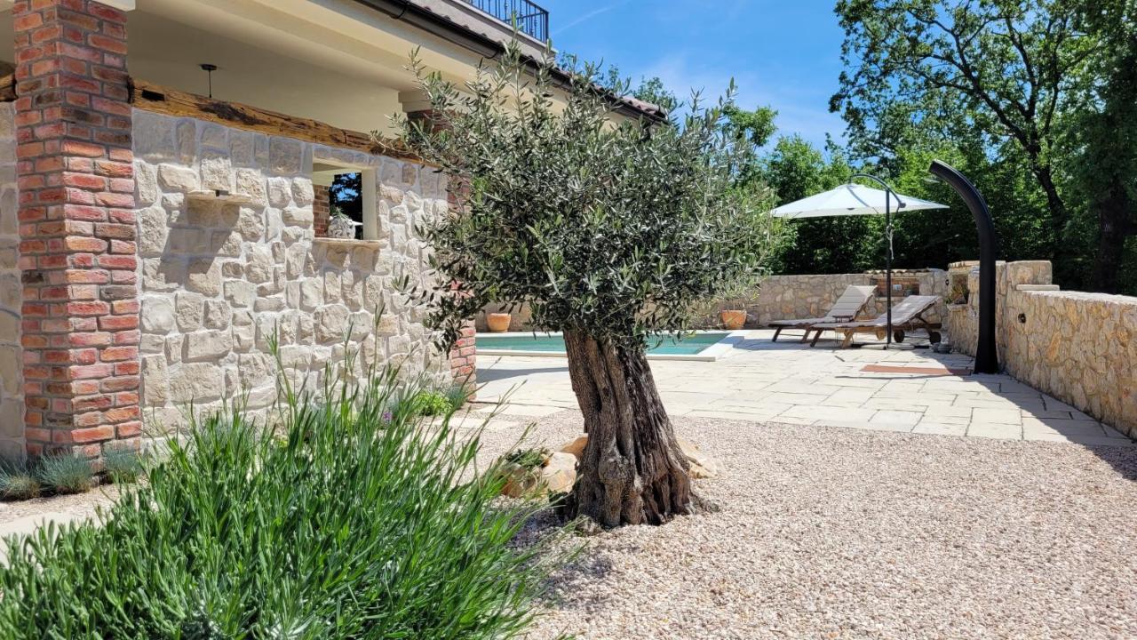 Villa Alara - Charming Villa With Heated Swimming Pool Milohnici ภายนอก รูปภาพ
